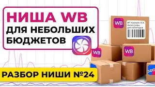 Ниша Wildberries для новичков с небольшим бюджетом 50-100К