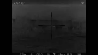 Охота на лису с мелкашкой / Fox hunting with 22lr