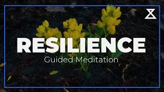 Build Resilience: 15-Minute Guided Mindfulness Meditation