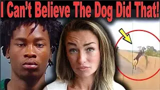 Teens, Murder, & a Very Brave K9 Officer | Shocking Bodycam Police  Footage Shows High Speed Chase