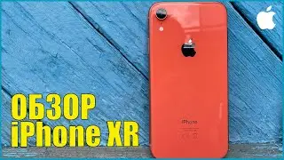 iPhone XR обзор в 2020 году! iPhone SE 2020 не рассматриваем даже?