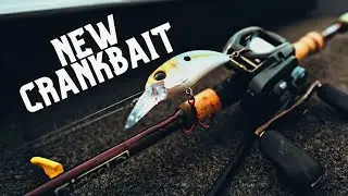 MONSTERBASS Presents the Seeker Series Crankbait