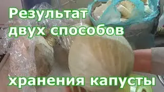 Результаты двух способов хранения капусты