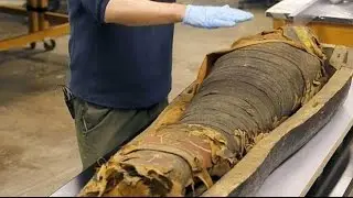 2500 Egyptian Mummy's Coffin Opened By SCientists In Chicago