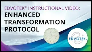 Edvotek Informational Video: Enhanced Transformation Protocol