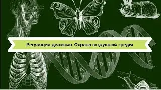 Биология 8 класс $22 Регуляция дыхания. Охрана воздушной среды