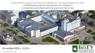 «Проблемы развития детей раннего возраста в современном образовательном пространстве»