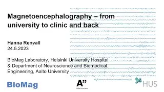 BrainMap: Magnetoencephalography - from university to clinic and back