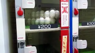 Egg Vending Machines in Japan