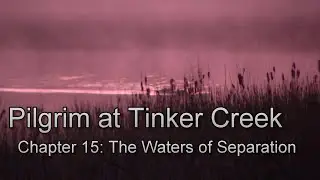 Pilgrim at Tinker Creek, chapter 15 discussion