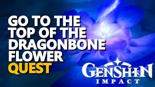 Go to the top of the Dragonbone Flower Genshin Impact