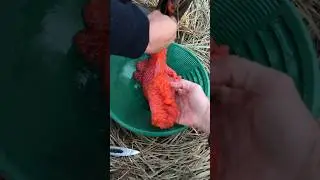 лучше любого ресторана самого дорогого ! Согласны ? Приморский край топ 