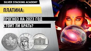 Плюсы и Минусы - прогноз по платине на 2023 от World Platinum Council/ Платиновые монеты и слитки