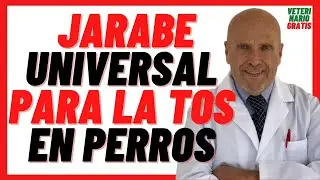 🔴 UNIVERSAL SYRUP (Ambroxol) for COUGH or COLD in Older DOGS 🔴 How to cure (Treatment)
