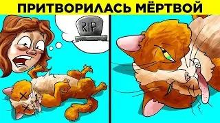 Как Животные Играют С Людьми