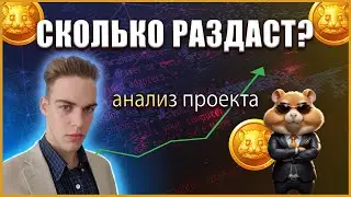 HAMSTER KOMBAT: СКОЛЬКО РАЗДАДУТ??? ПОЛНЫЙ АНАЛИЗ ПРОЕКТА