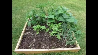 How to Build, Plant and Maintain a Raised Square Foot Garden