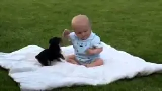 komik bebek ve köpek yavrusu