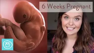 6 Weeks Pregnant: What You Need To Know - Channel Mum