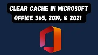 Clear Cache in Microsoft Office 365, 2019, & 2021