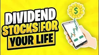 Dividend Stocks To Buy Now | Cashflow & Dividend Investing