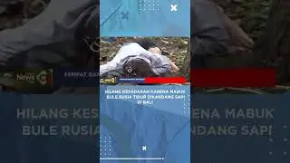 Hilang Kesadaran Karena Mabuk Bule Rusia Tidur Dikandang Sapi di Bali