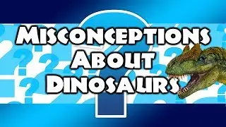 Misconceptions About Dinosaurs