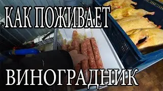 ПОЧЕМУ НЕ ДЕЛАЕМ МНОГО КОЛБАСЫ?