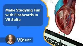 Make Studying Fun with Flashcards in Visible Body Suite