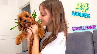 Настя 24 часа ЧЕЛЛЕНДЖ собачка Теффі керує ДНЕМ Challenge My little Nastya