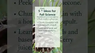 🍁5 More Fall Science Ideas 🍁🧪