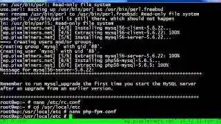 FreeBSD Web Server 01 - Nginx Config Explained, PHP and MySQL Setup