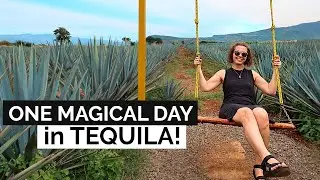 One fantastic DAY in TEQUILA, Mexico! | Cantaritos El Güero | What to expect on a day-trip