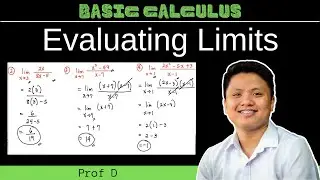 EVALUATING LIMITS OF A FUNCTION | CALCULUS | PROF D