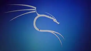 Запуск Kali Linux с флешки, как полноценная ОС, с сохранением настроек и данных