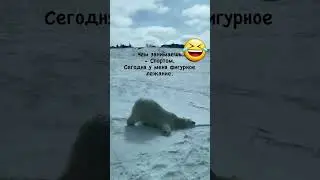 -Чем занимаешься? -Спортом. У меня сегодня фигурное лежание!🤪