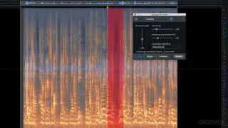 Advanced (iZotope RX7 New Features Explained®)