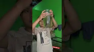 Tuan Faruq beli ikan Chana 