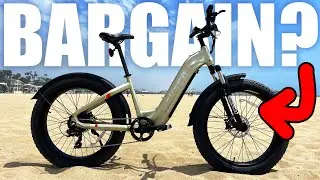 Aventon DOES NOT Want You To See This Ebike! Hovsco HovAlpha Review