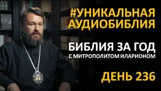 День 236. Библия за год. Библейский ультрамарафон портала «Иисус»