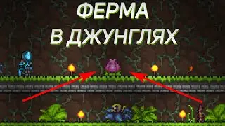 КАК ВЫРАСТИТЬ БУТОН ПЛАНТЕРЫ В TERRARIA???