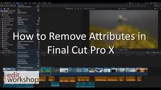 How to Remove Attributes in Final Cut Pro X