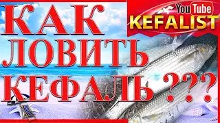 Рыбалка в Скадовске - 