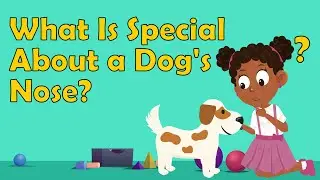 What Is Special About a Dog's Nose? | Dog Facts | Animal Facts For Kids | Fun Facts About Dogs