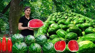 Harvest 100kq of Watermelons in the village! Making the most delicious Watermelon jam and juice