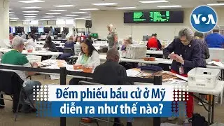 Đếm phiếu bầu cử ở Mỹ diễn ra như thế nào? | VOA Tiếng Việt