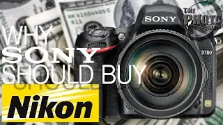 Should Sony Buy Nikon?