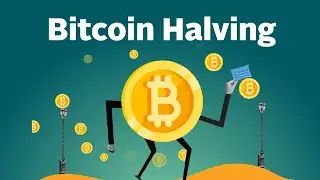 What is Bitcoin Halving? Explained by CoinGecko