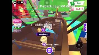 How to get cuddly candle in adopt me!