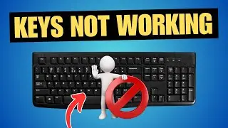 FIX Some Keys Not Working on Laptop Keyboard (Windows 11)